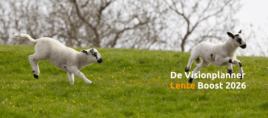 Visionplanner Lente Boost 2026