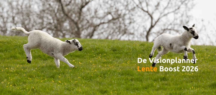 Visionplanner Lente Boost 2026