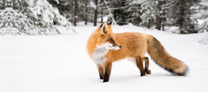 Webinar Winter Boost Visionplanner