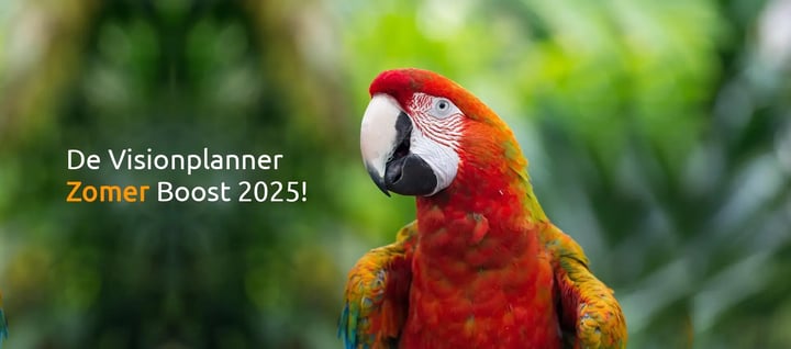 Zomer Boost Visionplanner Papegaai 2025