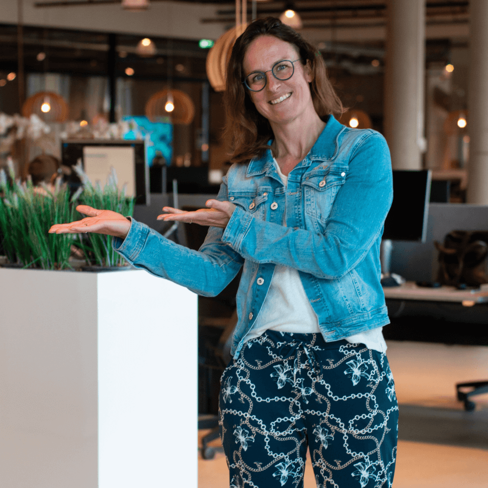 Audit experience Renske (1)