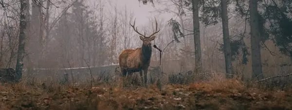 Header herfst boost 600x266