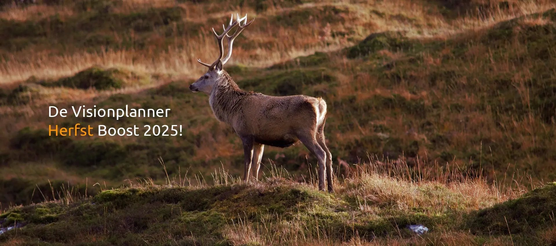 Header website herfst boost