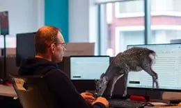 Importeren MLE-controle dossier