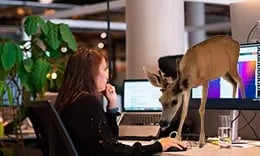 Systeeminstellingen afgeschermd voor gebruikers