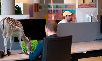 Verbeterde SBR-jaarrekening voor banken