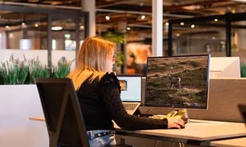 Uitbreiding consolidatie check presentatie