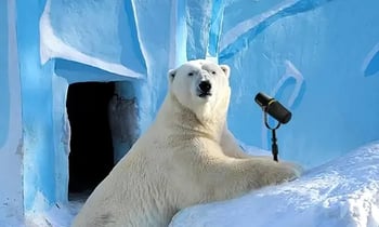 Webinar Visionplanner Winter Boost 2026