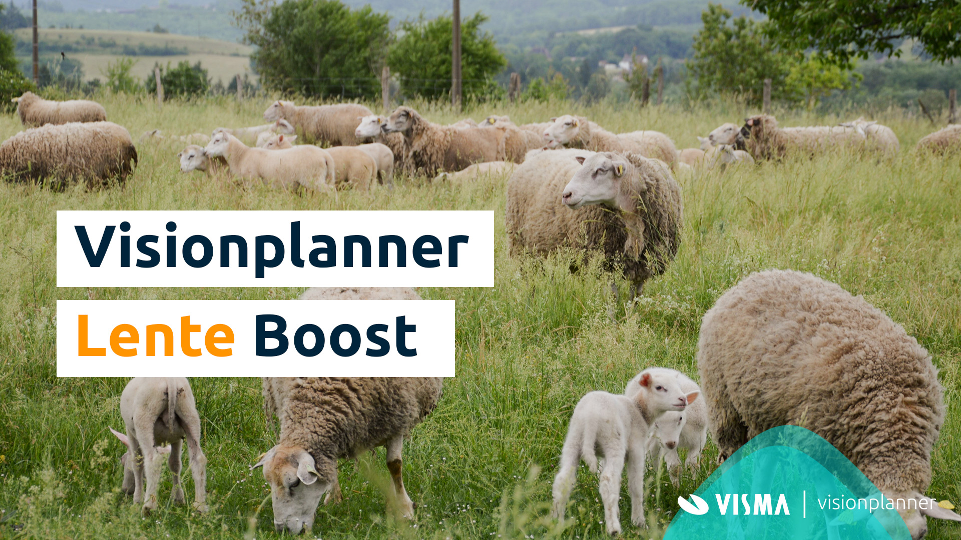 Visionplanner Lenteboost