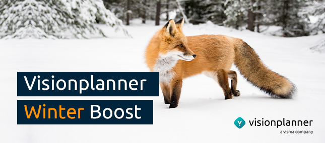 Visionplanner Winter Boost vos in de sneeuw