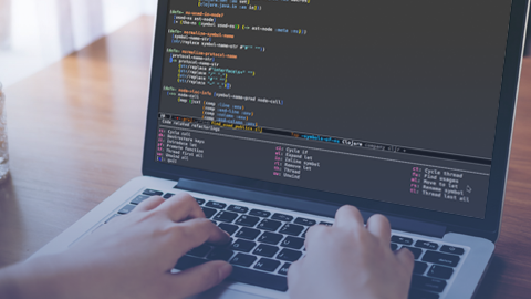 Software Architect