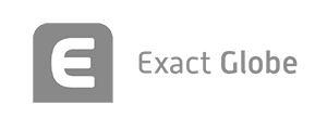Exact globe logo