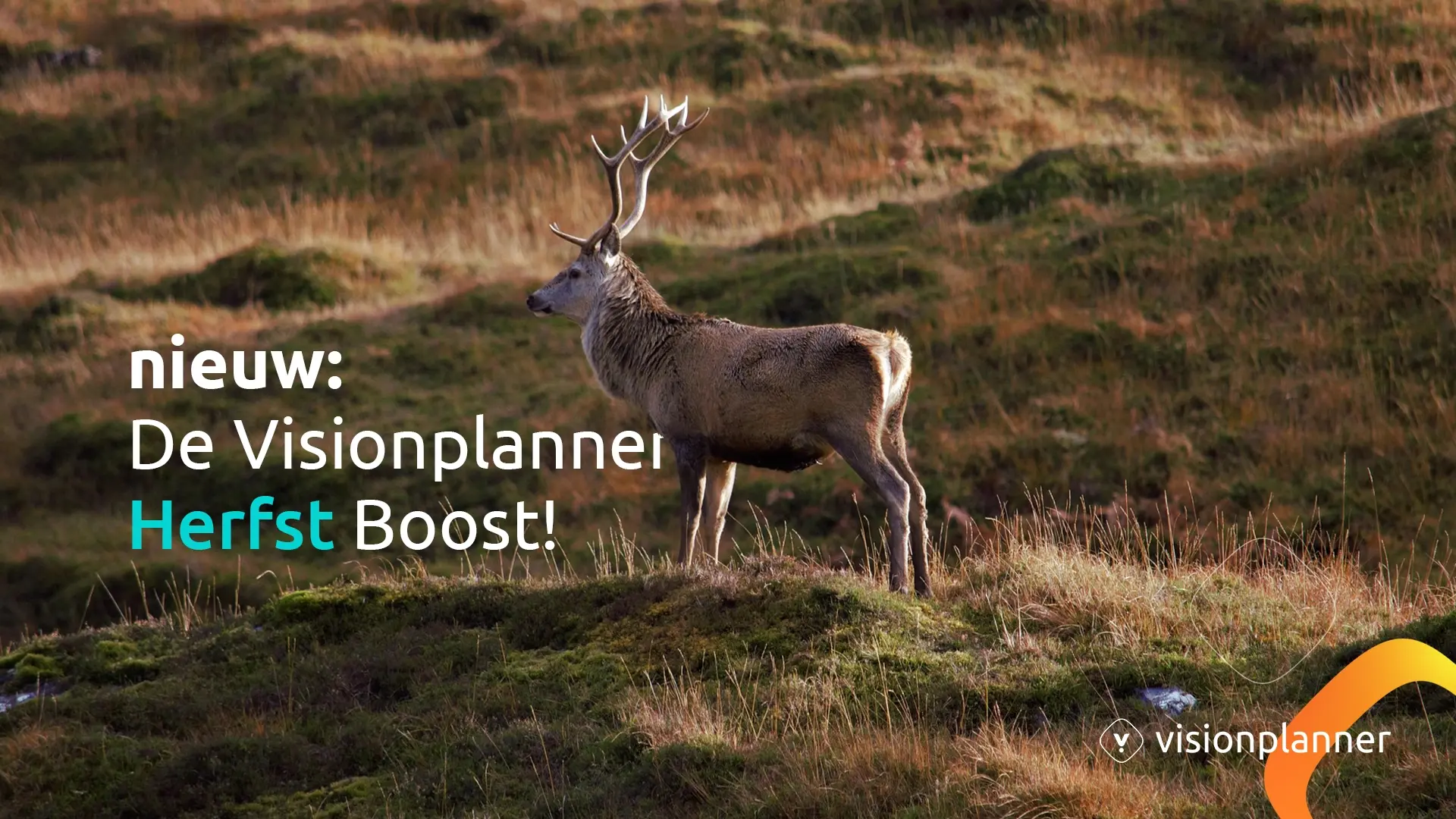 Visionplanner Herfst Boost 2025: Grip & Efficiëntie