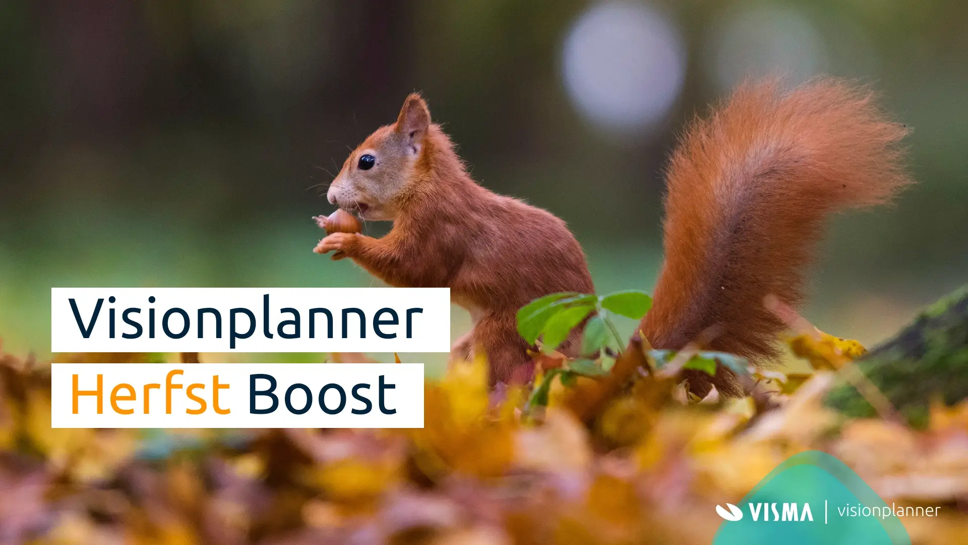 Visionplanner Herfst Boost Release oktober 2023